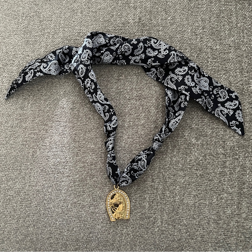 Western Bandana Horseshoe Adjustable Choker Necklace - Picture 4 of 4